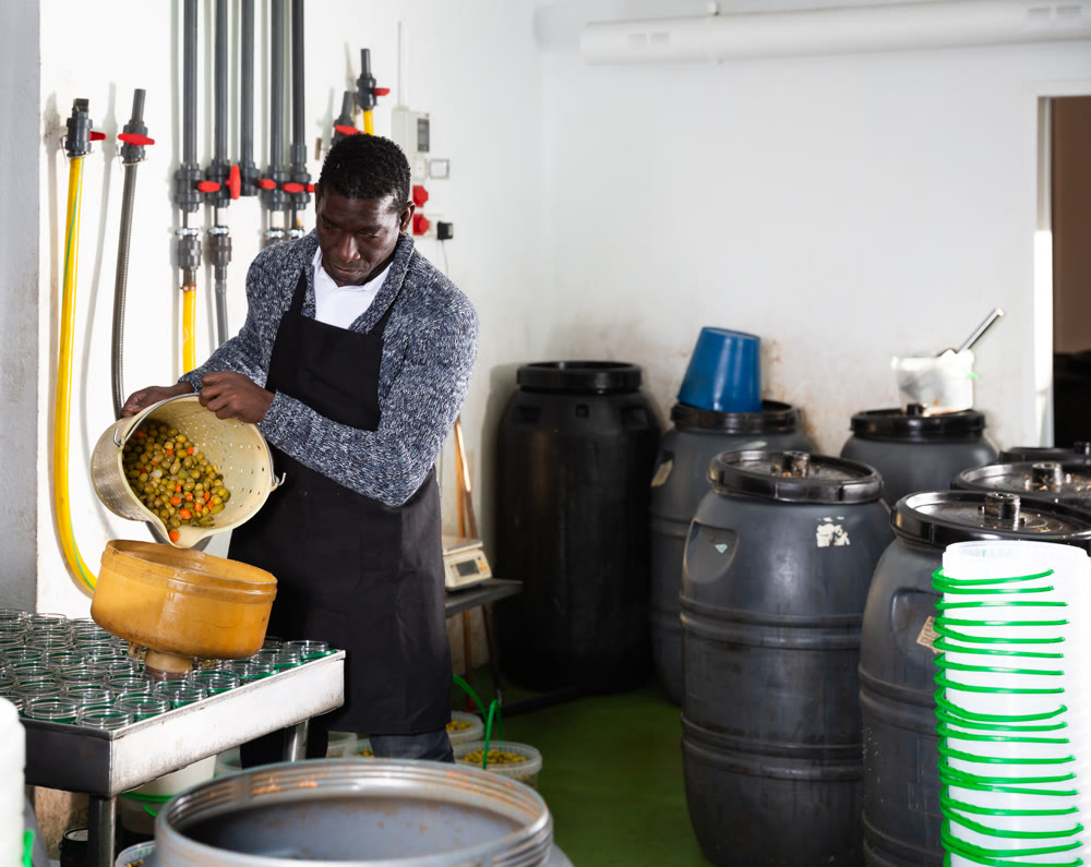 african-american man fills ripe olives in glass jars for canning