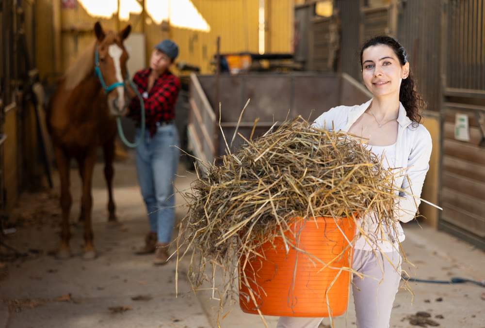 Young woman with bucket of hay in stable