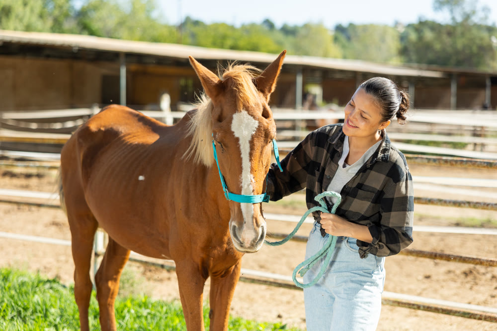 Asian girl, owner of horse, walks pet outdoor in paddock