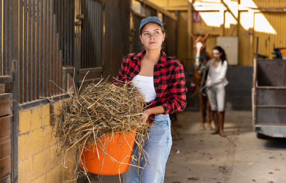 European young female worker walks go through corridor of stable, carrying basket with straw