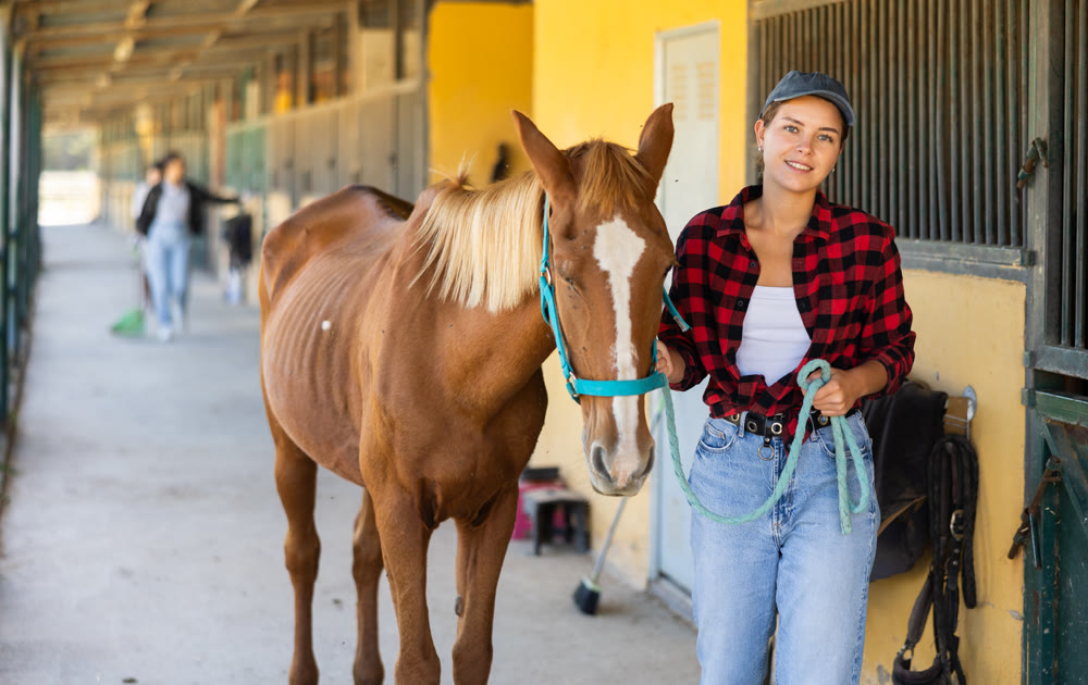 Positive female worker takes horse out of stall, holds animal by bridle and leads pet for walk