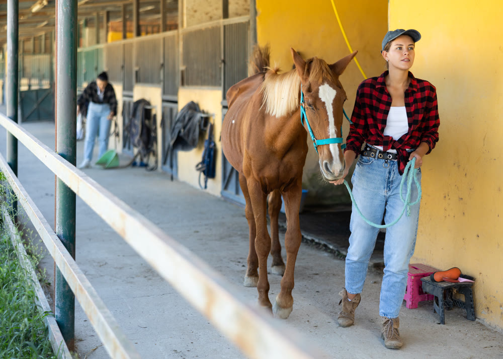 Young woman leads horse out of stable