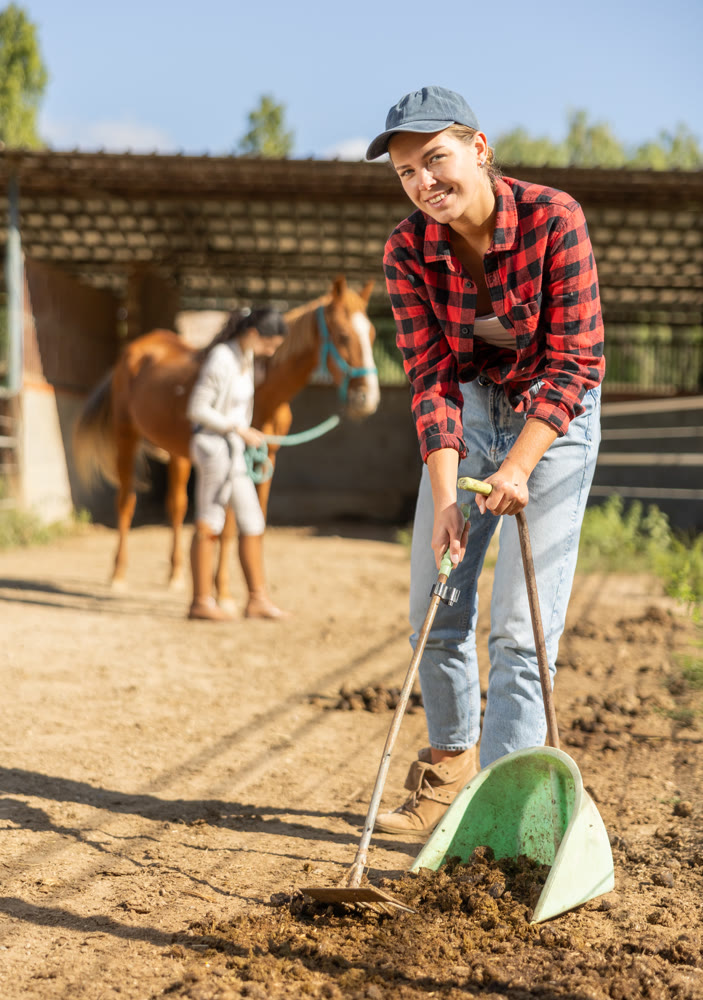 Smiling girl worker scoops horse droppings into shovel and cleans up cattle