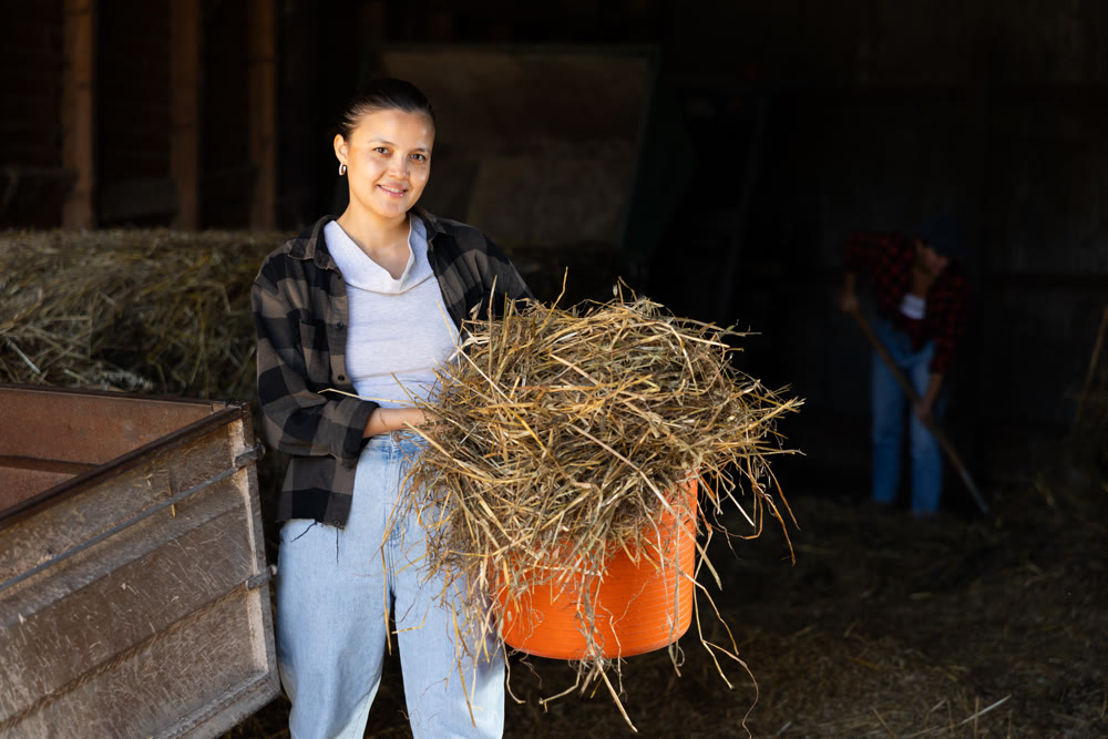 Asian young female worker walks go through corridor of stable, carrying basket with hay