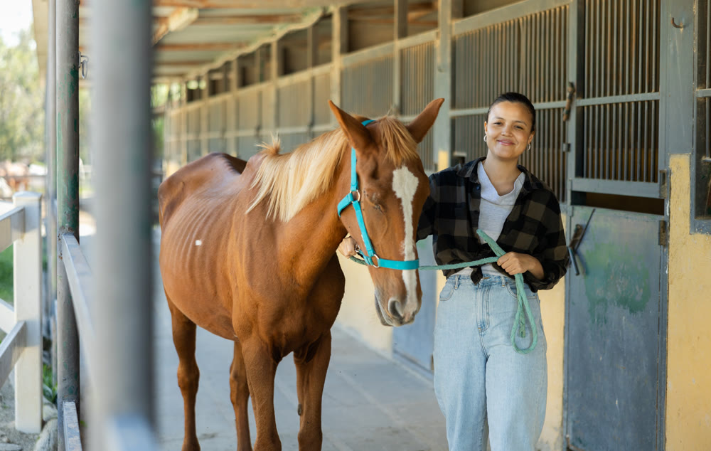 Asian female worker takes horse out of stall, holds animal by bridle and leads pet for walk