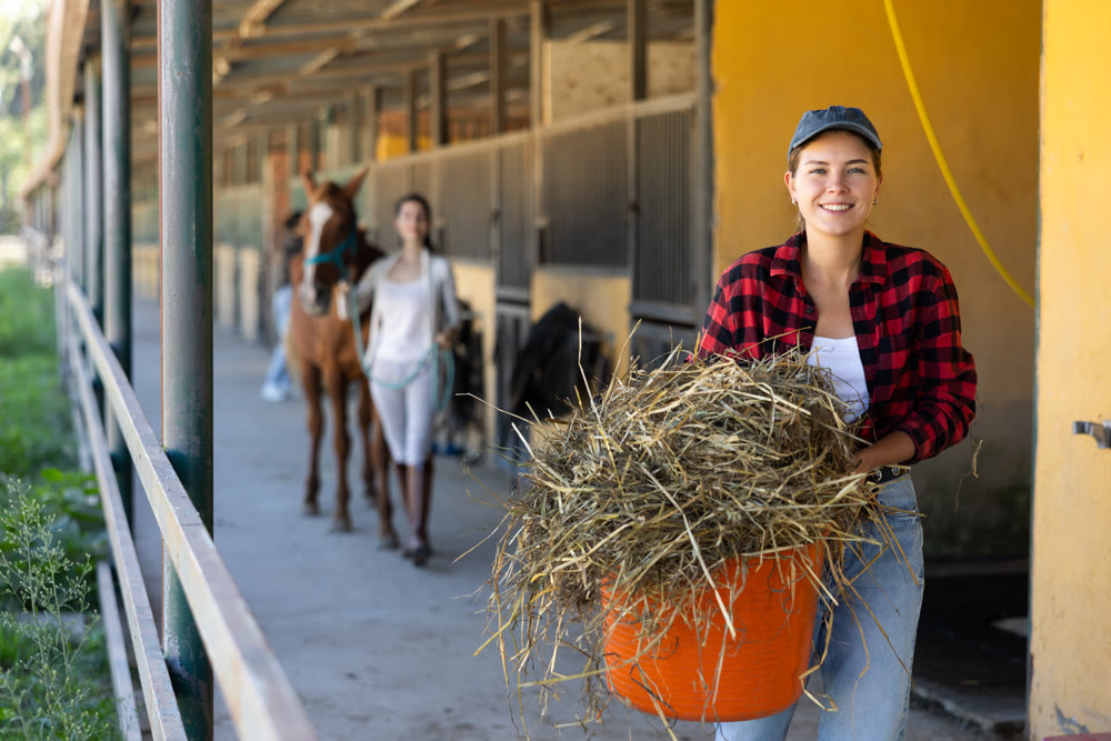European young female worker walks go through corridor of stable, carrying basket with straw