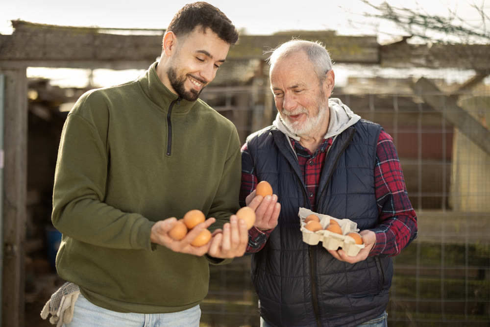 Man with senior father presents farms eco-friendly products - chicken eggs