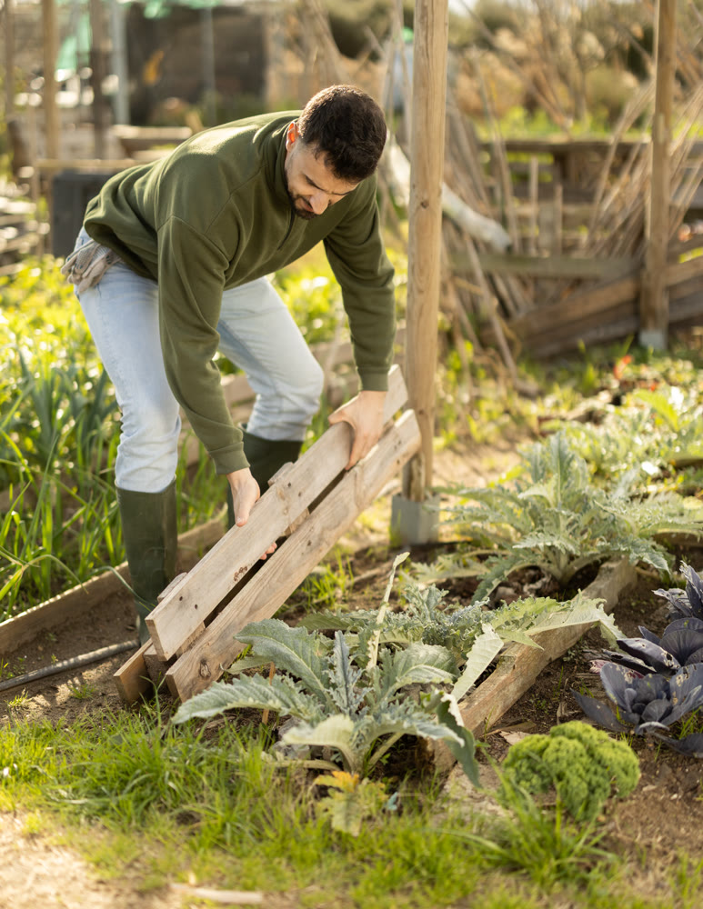 Male farmer makes fence for garden beds