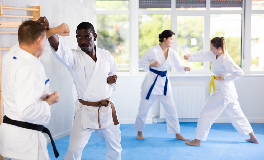 Two men practicing punches during karate classes in gym