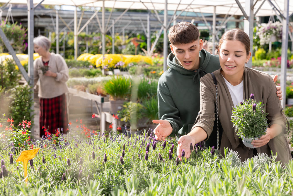 Happy married couple choosing flower pot with lavender flowers at flower market