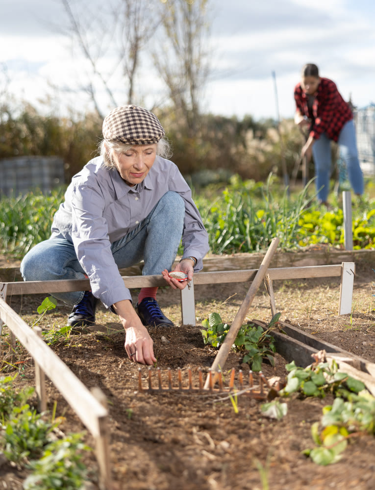 Female owner of plantation planting seeds on beds