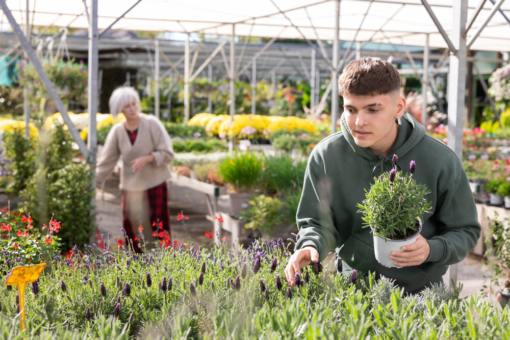 Young guy chooses lavender in flower shop