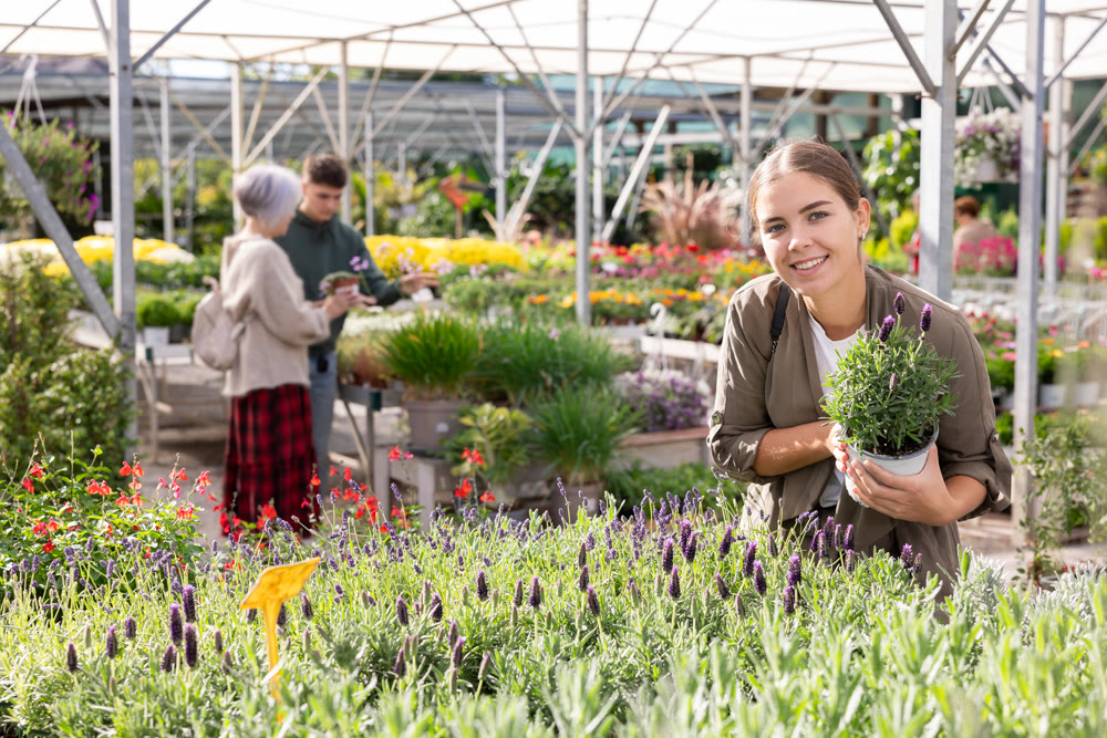 Young woman choosing flower pot with lavender flowers at flower market