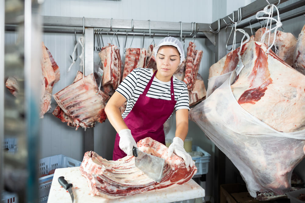 Female butcher cutting veal ribs in cold storage room of store