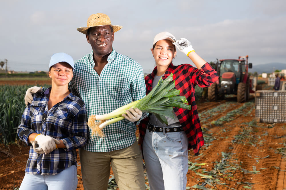 Friendly women and man gardeners with harvested ripe leek