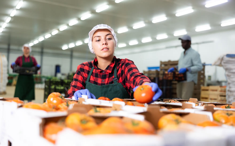 Young woman checking quality of tomatoes in warehouse