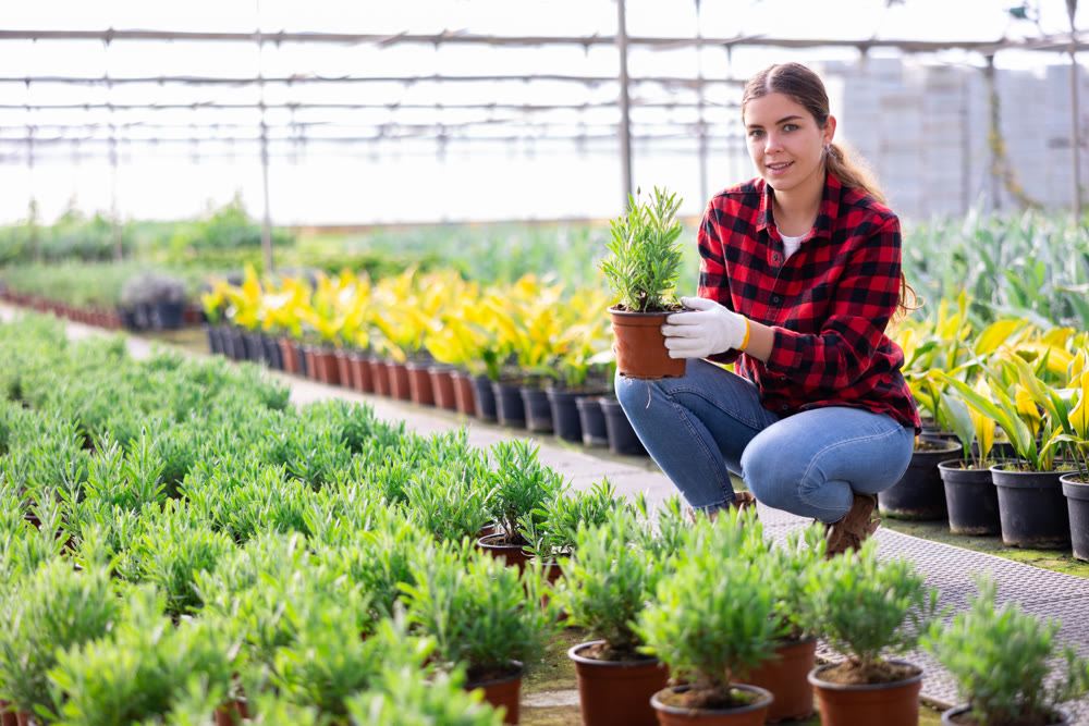 Woman gardener holding seedlings in pot