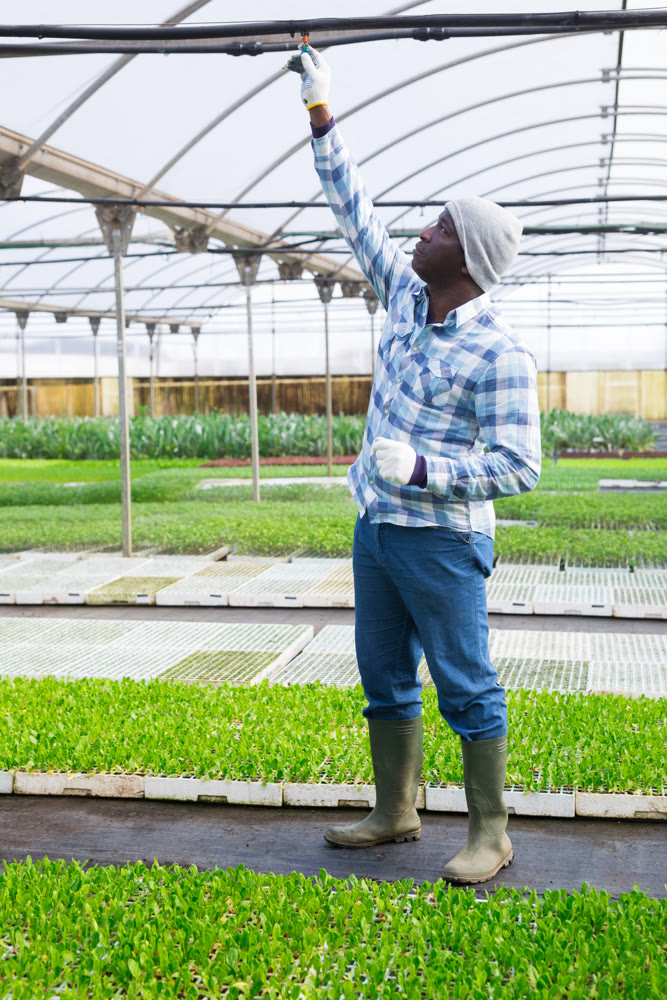 Focused african american man farmer opens a tap to watering