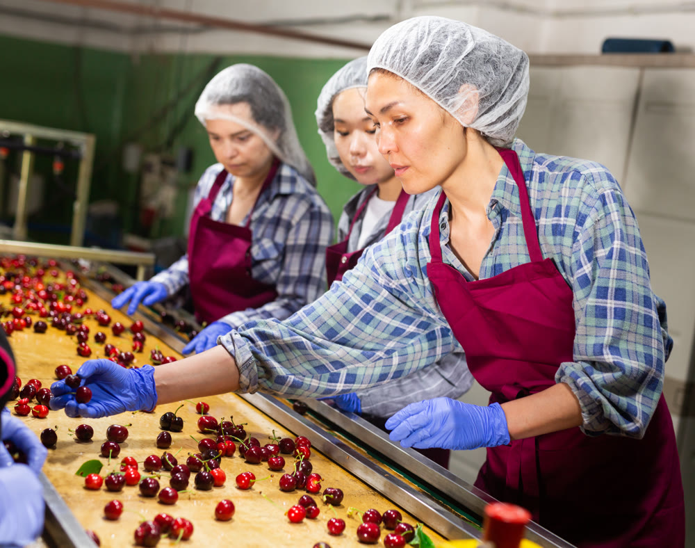 Women working on producing sorting line at fruit warehouse
