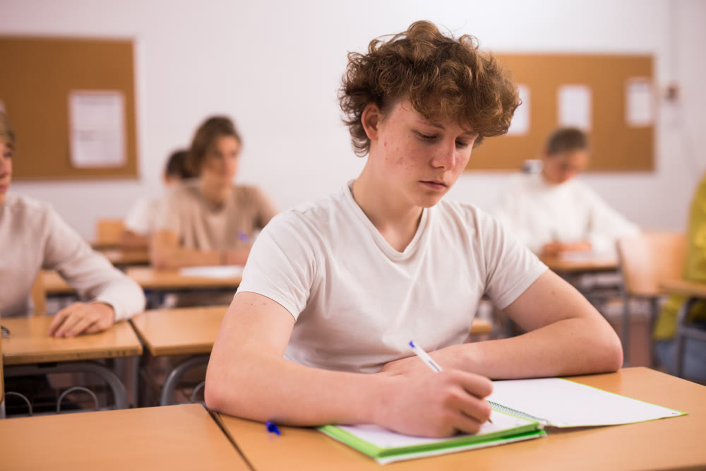 Teenager boy in class room in school