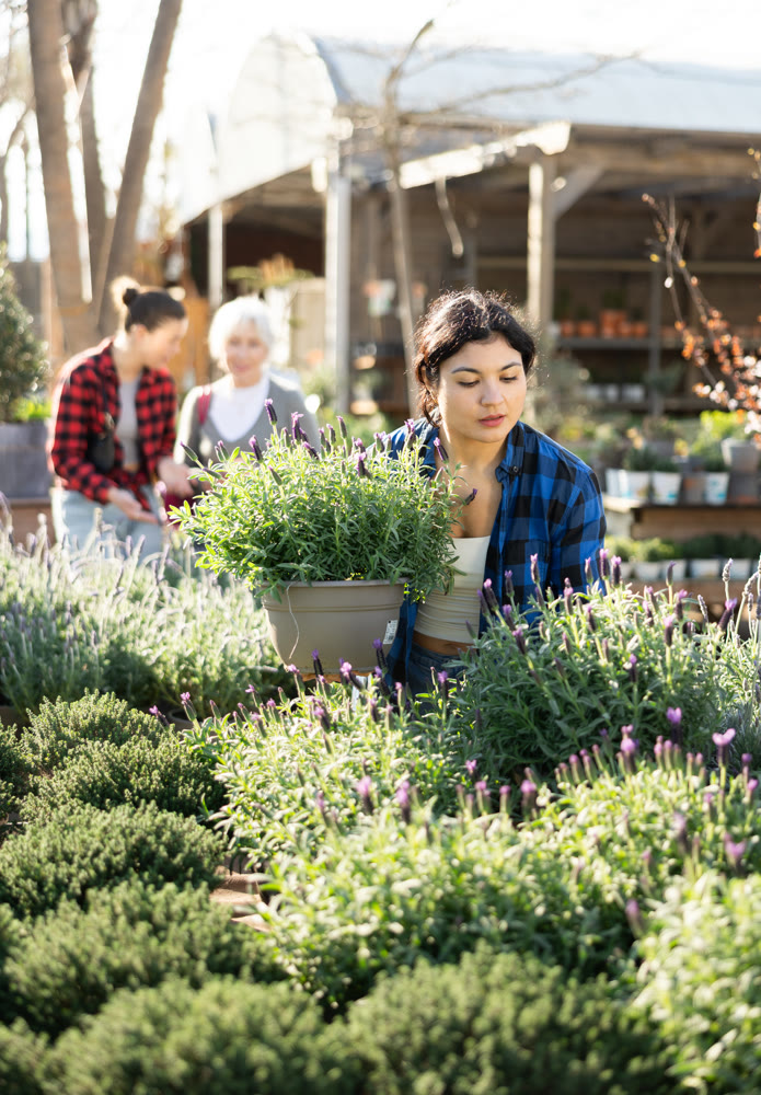 Young woman choosing lavender in flower shop
