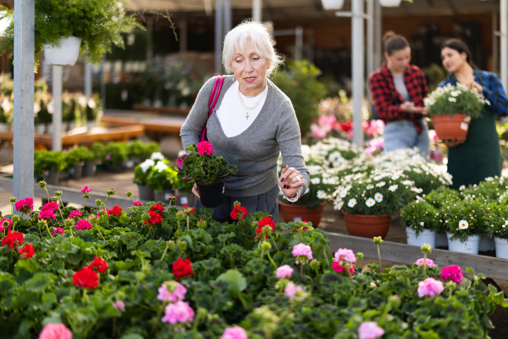 Elderly woman choosing geranium in flower shop