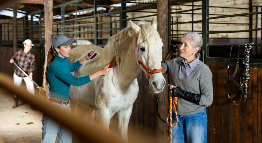 Aged farmer woman with young female assistant caring white horse in stable