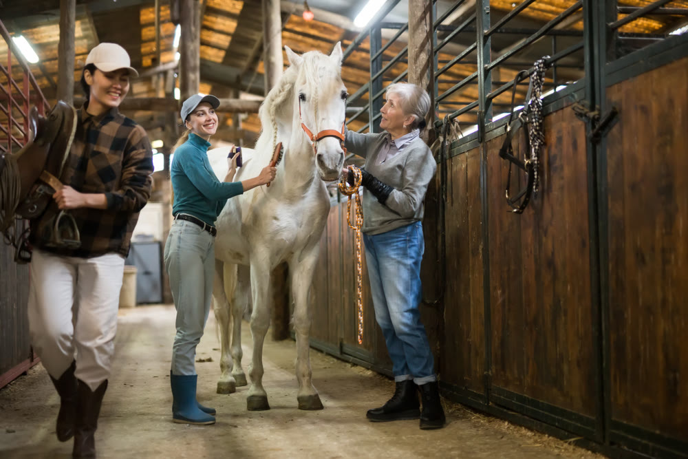 Women horsebreeders grooming white horse in stable