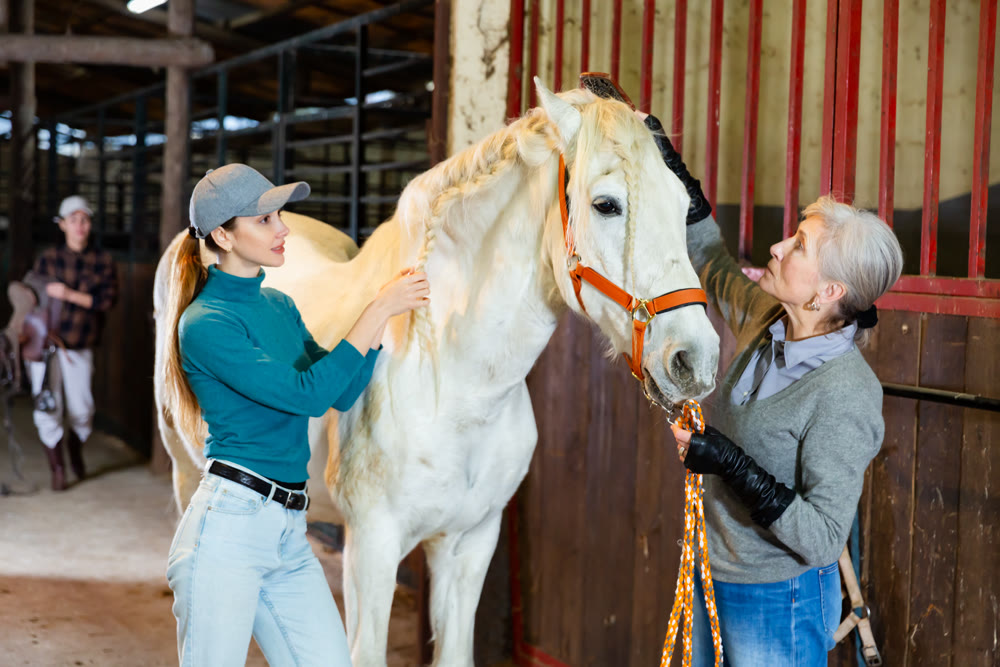 Elderly woman rancher brushing horse in stable while girl braiding mane