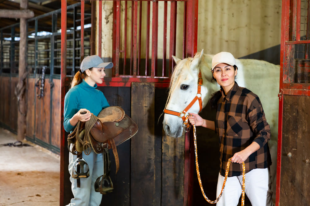 Women horsebreeders equipping horse