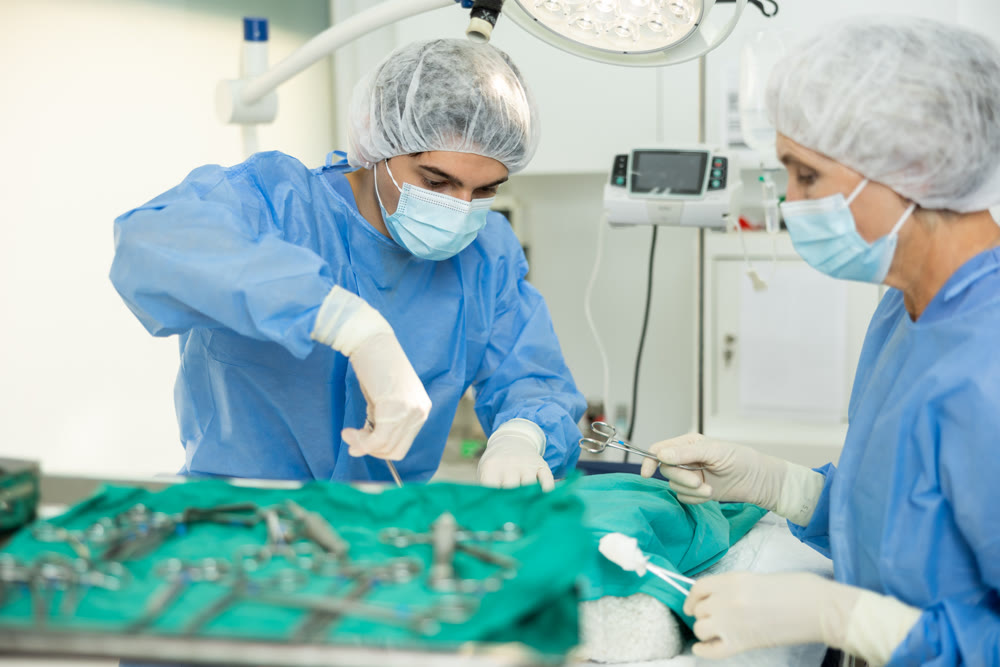 Young veterinarian with female assistant conducting surgical operation at veterinary clinic