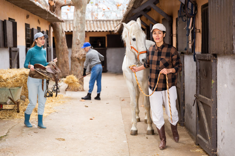 Women horse breeders equipping horse