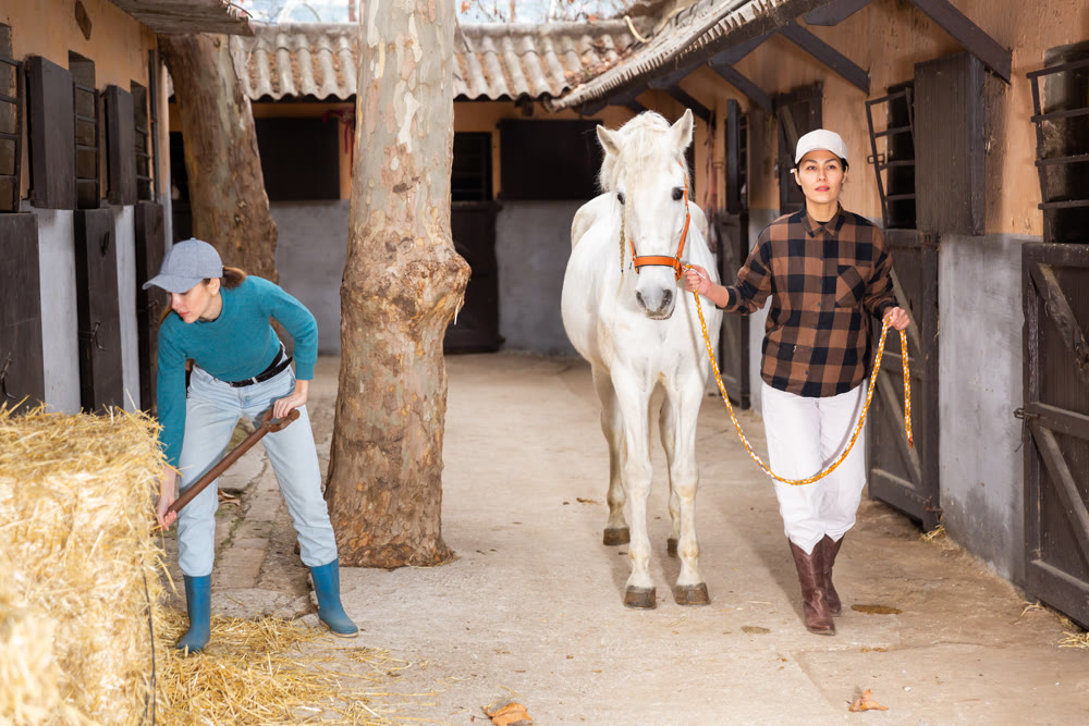 Two women horse breeders working in ranch