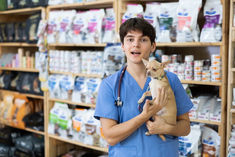 Positive young veterinarian standing in veterinary clinic with chihuahua in hands