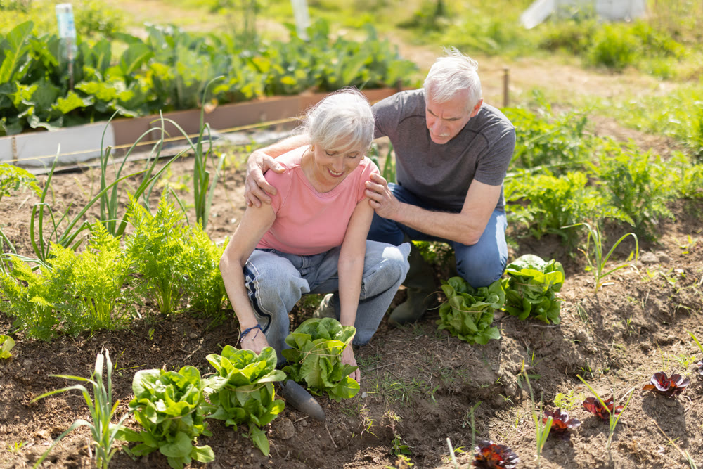 Portrait of elderly couple tending plants together in their garden