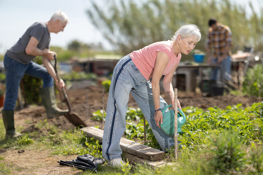 Elderly woman watering plants with watering can