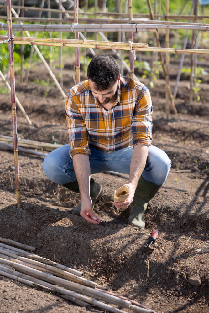 Young man planting seeds in farm field