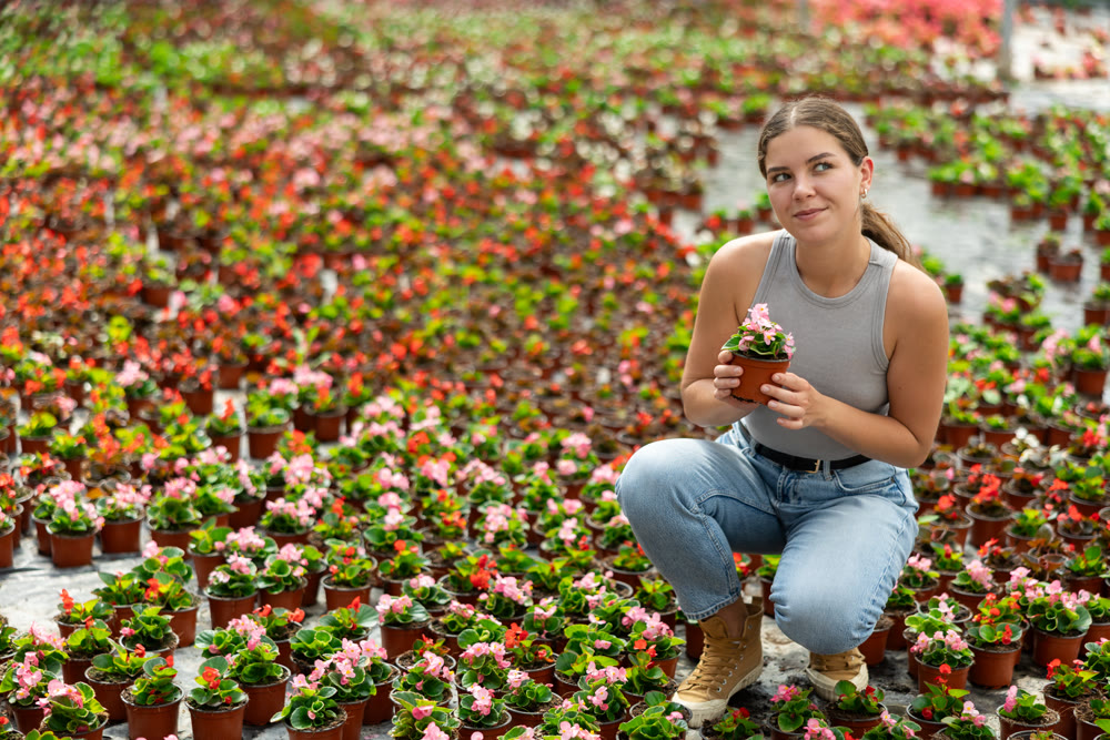 Young woman choosing begonias in a greenhouse
