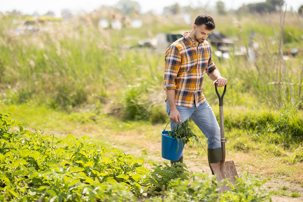 Young man with shovel working on farm field