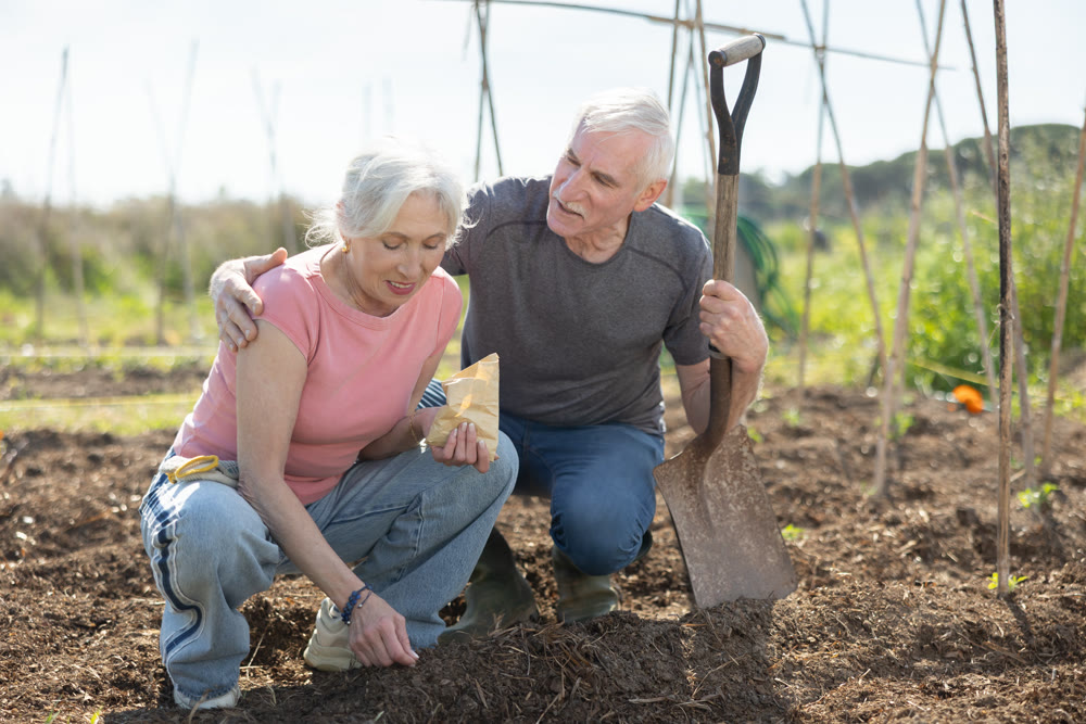 Portrait of elderly couple tending plants together in their garden