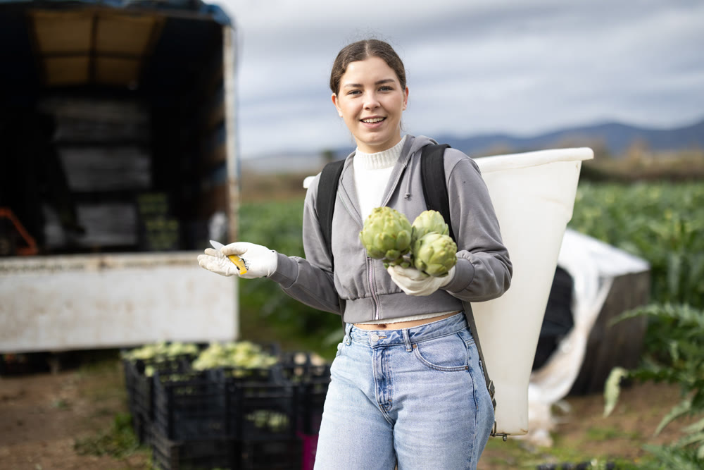 Girl worker standing in field after completing tasks, harvesting artichoke