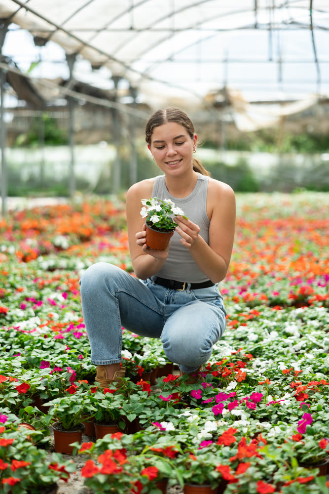 Young woman choosing flowers in greenhouse
