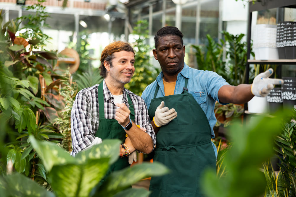 Male floriculturists discussing work issues among ornamental plants in hothouse