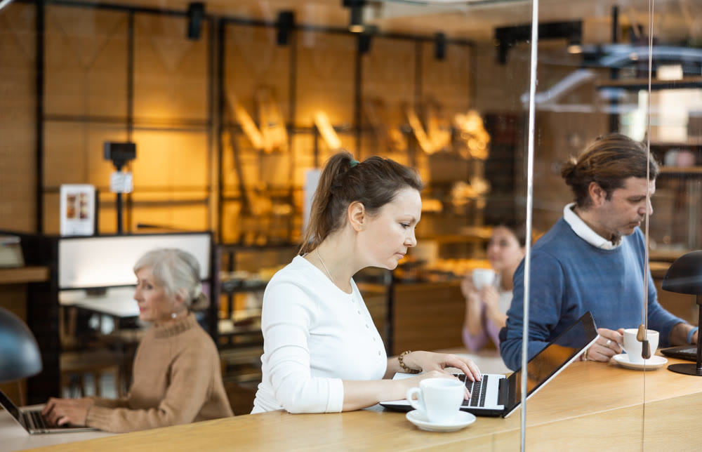 Interested female designer sitting in cafe with coffee and laptop