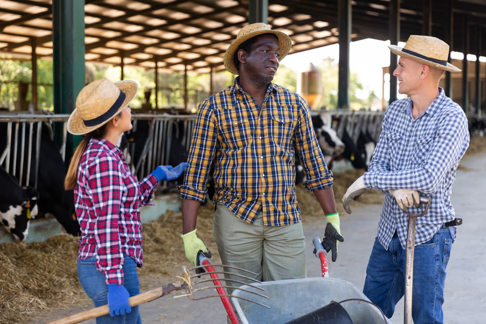 Multiracial group of farmers talking at cowshed