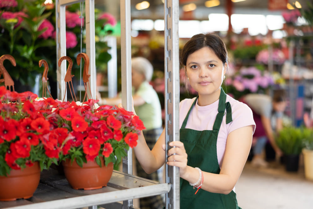 Female worker in flower greenhouse moves rack with houseplants
