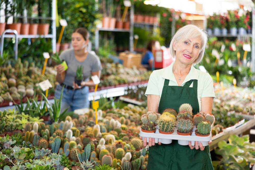 Smiling mature woman, flower shop owner holding tray with cacti