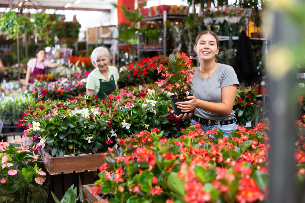 Positive girl buyer chooses pot flowers Begonia big at flower market