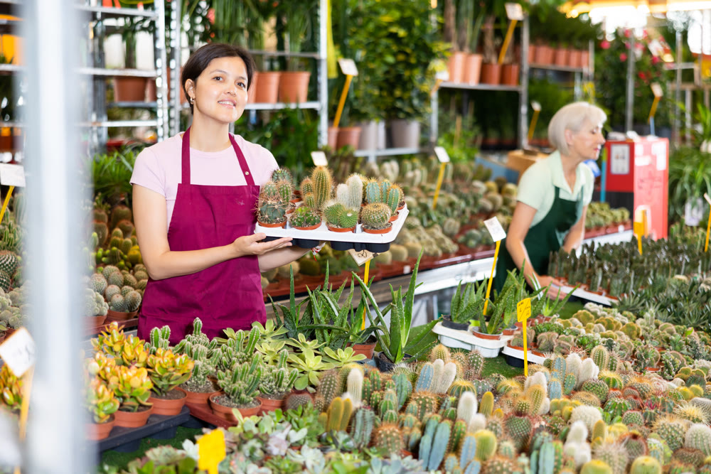 Middle-aged saleswoman holding cactus in flower-pots in open-air plants market