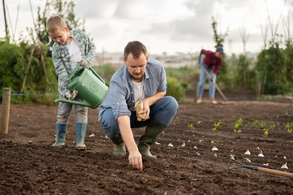 Man planting seeds boy watering beds